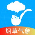 烟草气象