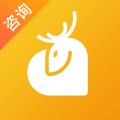小鹿情感