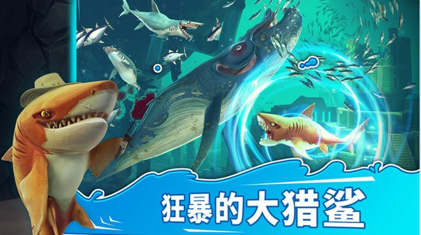 鲨鱼世界